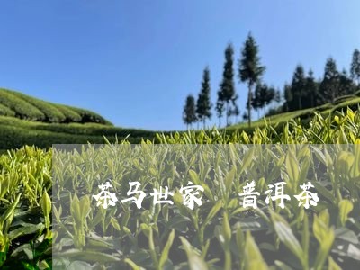 茶马世家 普洱茶/2023041294027